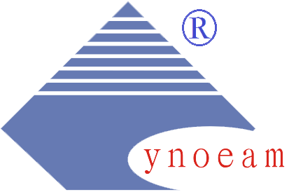 ynoptic.com
